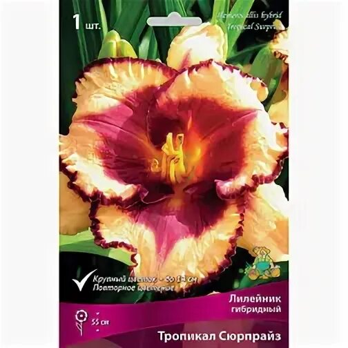Тропикал сюрпрайз
