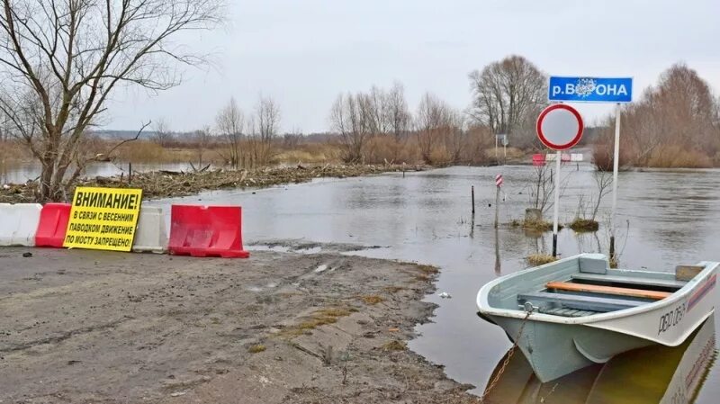 Уровень воды в реке ворона