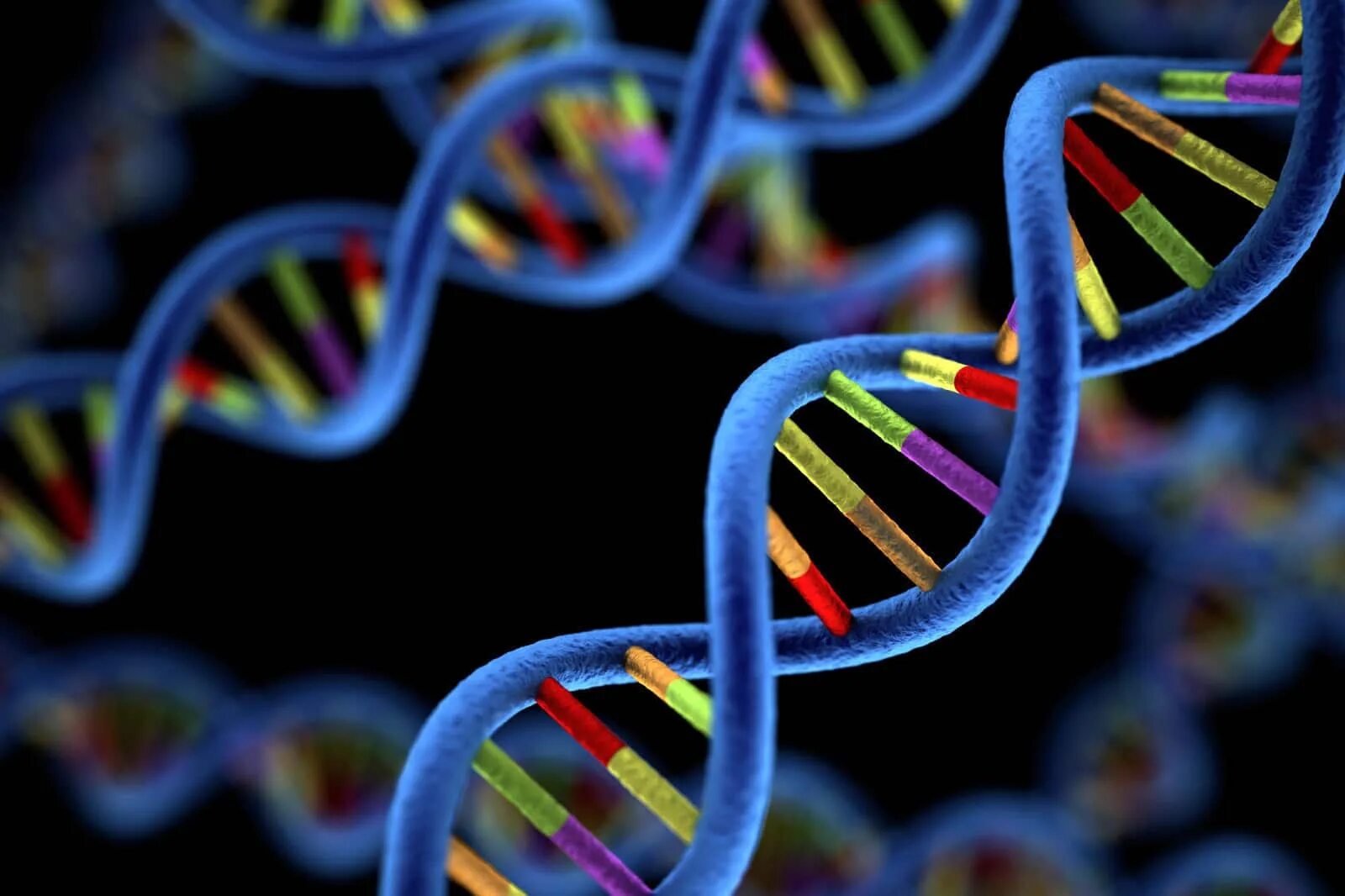 Ген и генетика. Геномная ДНК. ДНК гены геном. ДНК молекулы наследственности.
