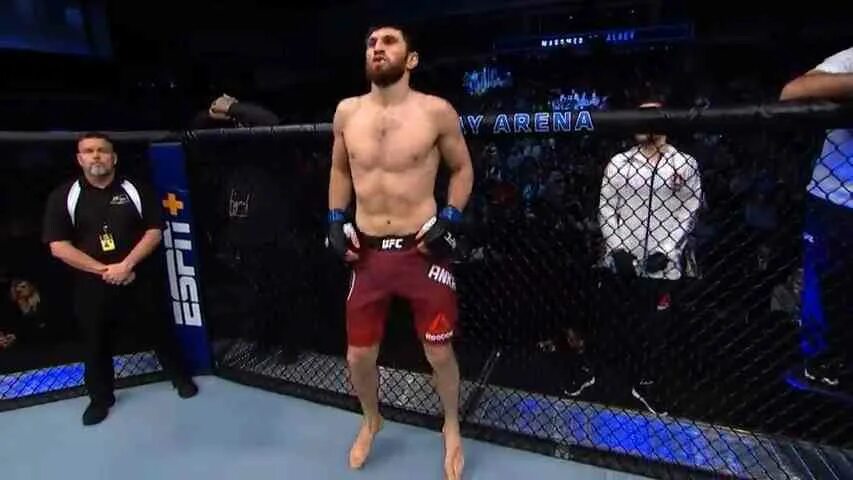 Анкалаев прогноз на бой. Анкалаев сантос. магомед анкалаев тиаго сантос. ufc fn: магомед анкалаев.