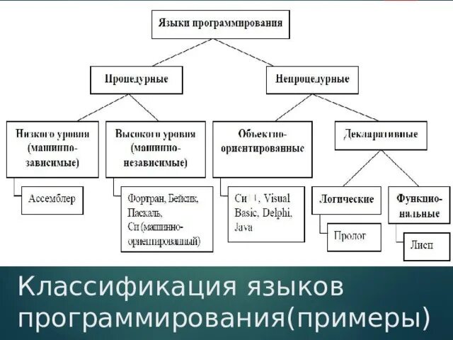 5 популярных языков программирования
