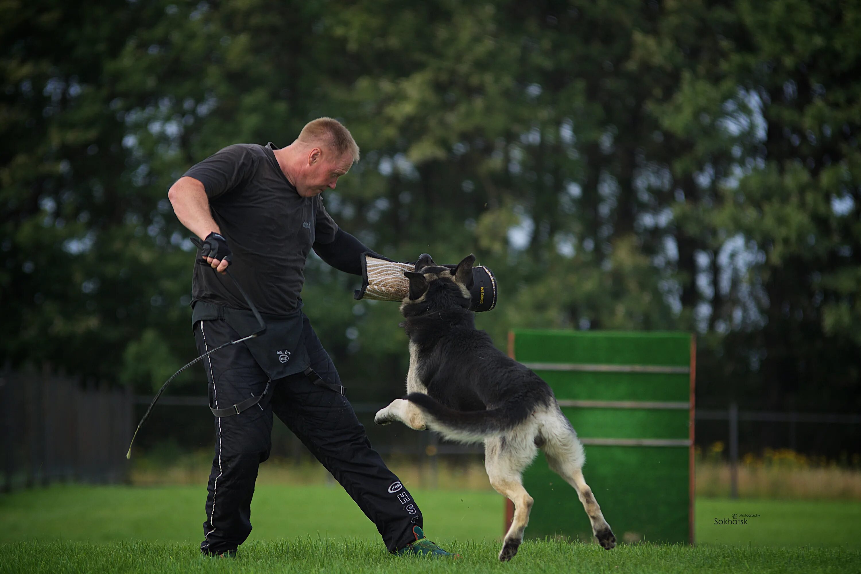 Терра лайн горловка. Нкп российский доберман-клуб. Алексей табачник фигурант. Русский доберман. Эксперт bt сайт.