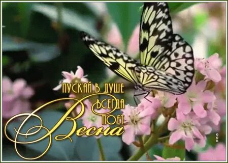 Пусть от любви душа поет