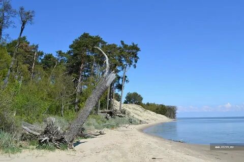 Морское калининградская область