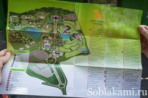 Роял карта