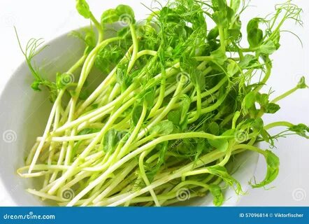 Pea shoot