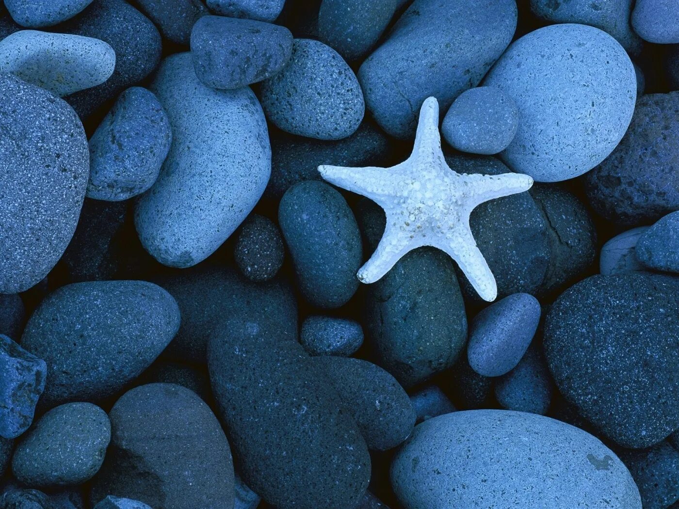 Подводные камни купить. Морские камни. Красивые морские камни. Голубой морской камень. Морские камушки.