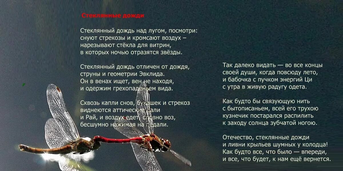 Песня по стеклу дождями. Стих стеклянный дождь. Стихотворение про стекло. Современные поэты о Дожде. Капли дождя на стекле стихи.