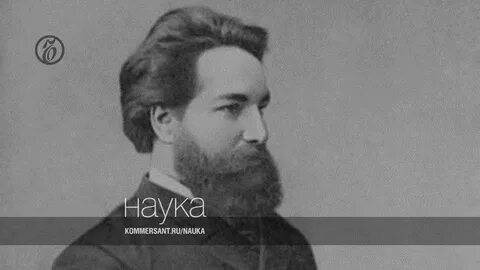 Доктор корсаков