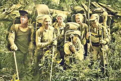Группа коровиной