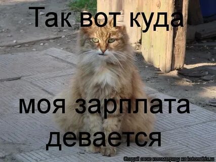 Моя зарплата