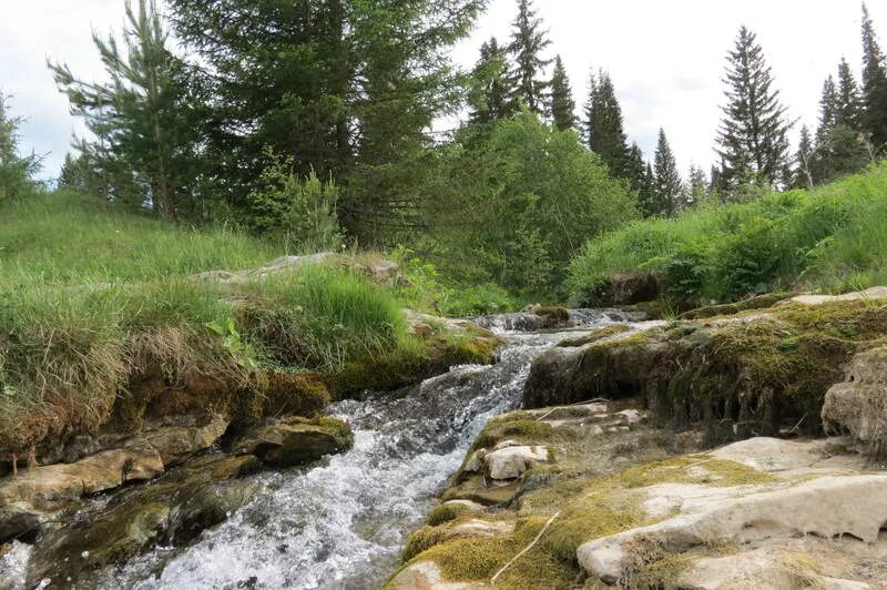 река рось журженцы. река времени картинки. вода река. парк река времени лобня. река время работы.