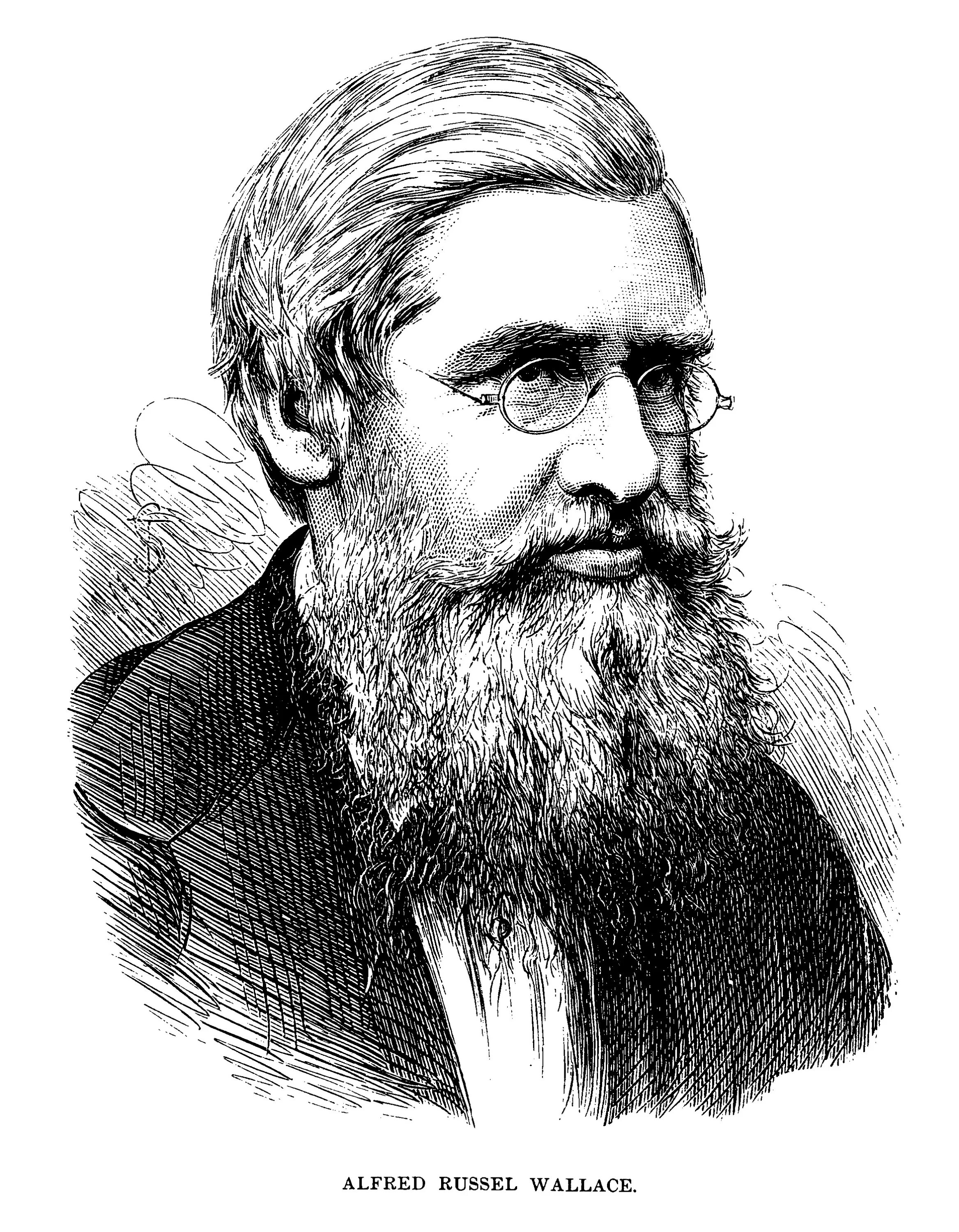 Рассел уоллес. Биография уоллес. Биография уоллес. Рассел уоллес. Рассел уоллес.
