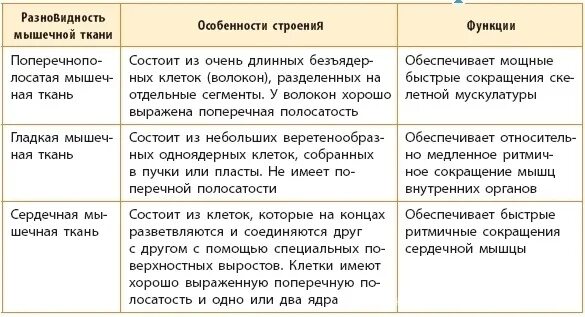 Заполните таблицу ткани человека. Мышечная ткань особенности строения и функции. Типы мышечной ткани таблица. Особенности строения мышечноной ткани. Особенности сроениямышечной ткани.