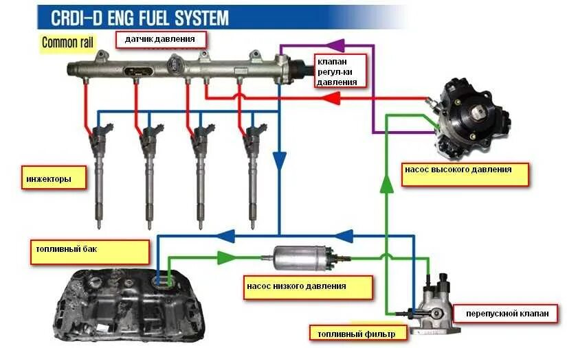 Сколько насосов в машине. Датчики топливной системы common Rail КАМАЗ. Электронный блок управления дизельного двигателя common-Rail. Топливная система КАМАЗ евро 5 common Rail. Система питания КАМАЗ common Rail.