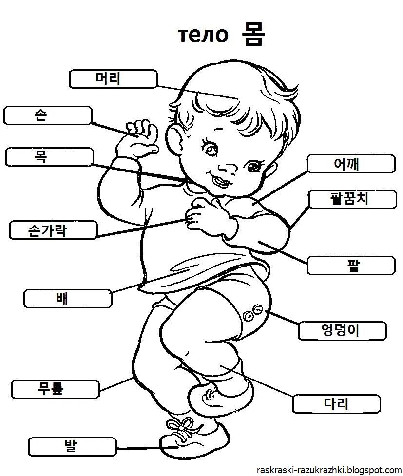 Задание человек для детей. Части тела человека раскраска. Части тела для детей. Части тела для дошкольников. Части тела раскраска для детей.