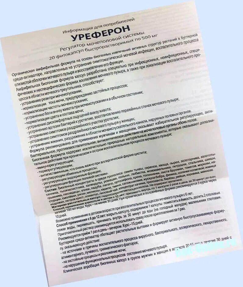 5 нок или канефрон
