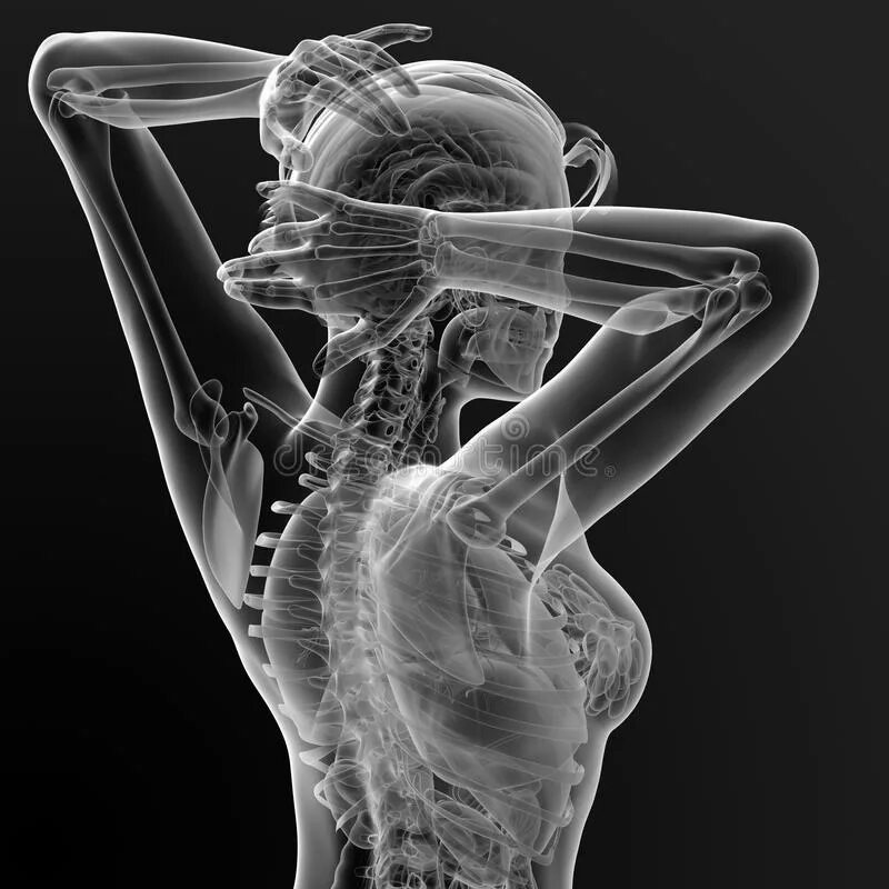 Female visualizer