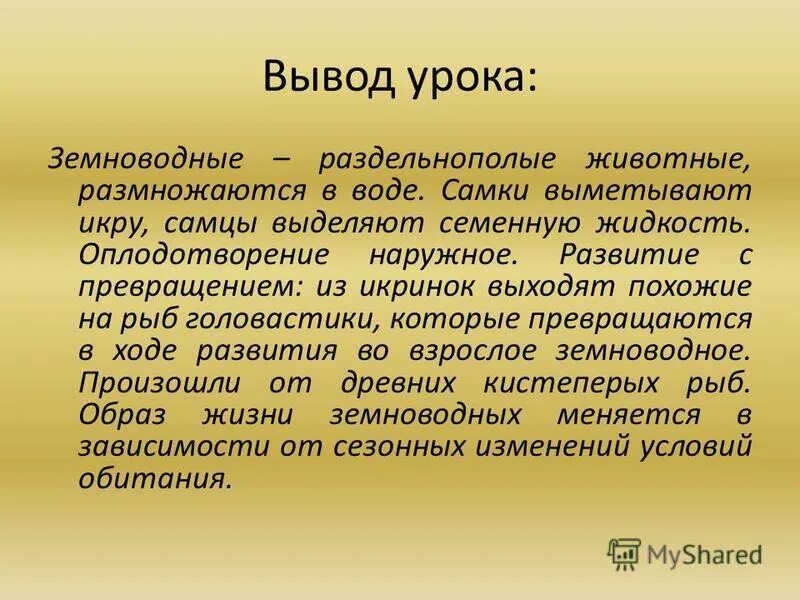 Годовой цикл жизни земноводных. Выводы по уроку. Годовой жизненный цикл земноводных. Годовой жизненный цикл и происхождение земноводных. Аргументируйте вывод о происхождении земноводных