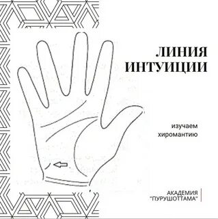 Основа интуиции