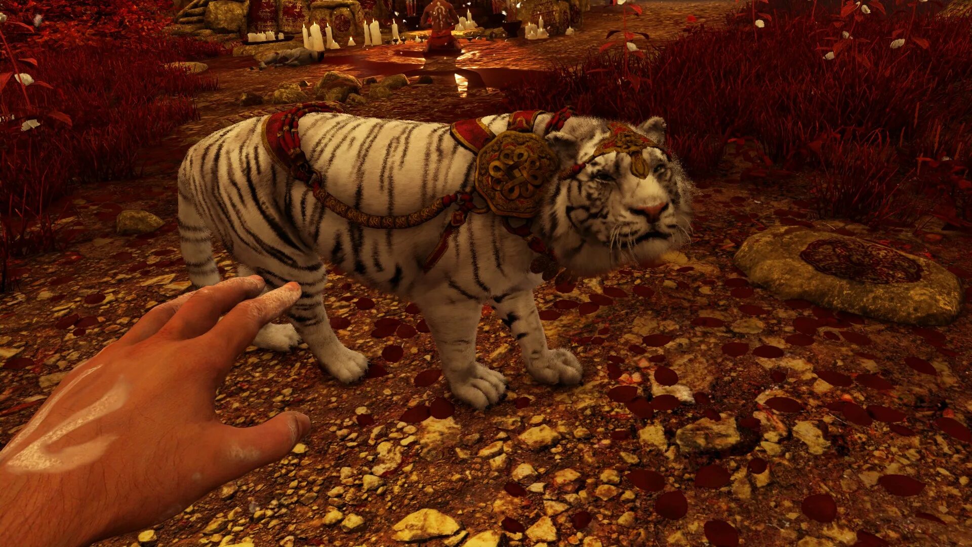 Far cry 3 тигры. Far cry 3 тигры. Far cry 3 путь охотника золотой тигр. Фар край 3 тигр. Фар край 3 животные.