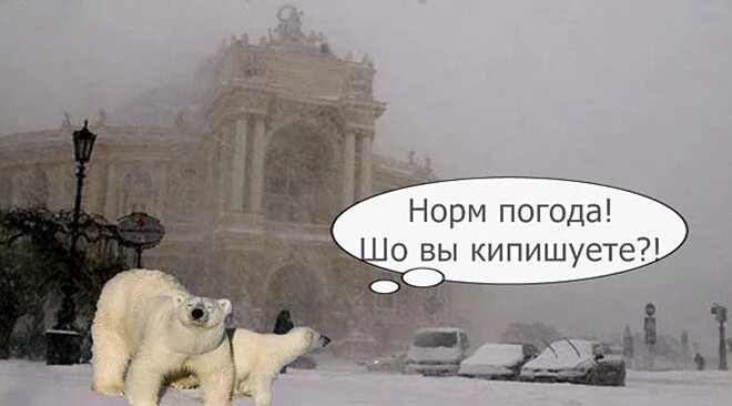 мы пошли с надюшей в душ. мы пойдем другим путем. мы пойдем другим путем. зачем мы пошли через саратов фродо. смешной ленин.