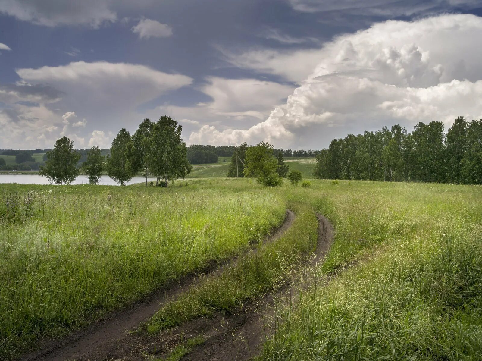 Татарск река. Природа города Черепанова НСО. Природа Черепаново Новосибирский район. Реки Черепановского района Новосибирской. Куйбышев природа НСО.