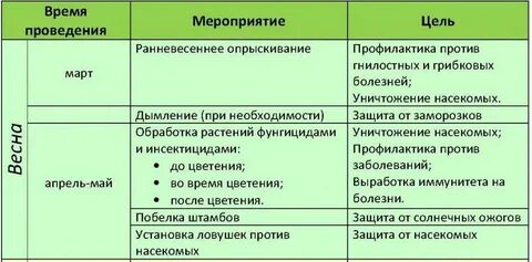 В каком месяце весной опрыскивать деревья
