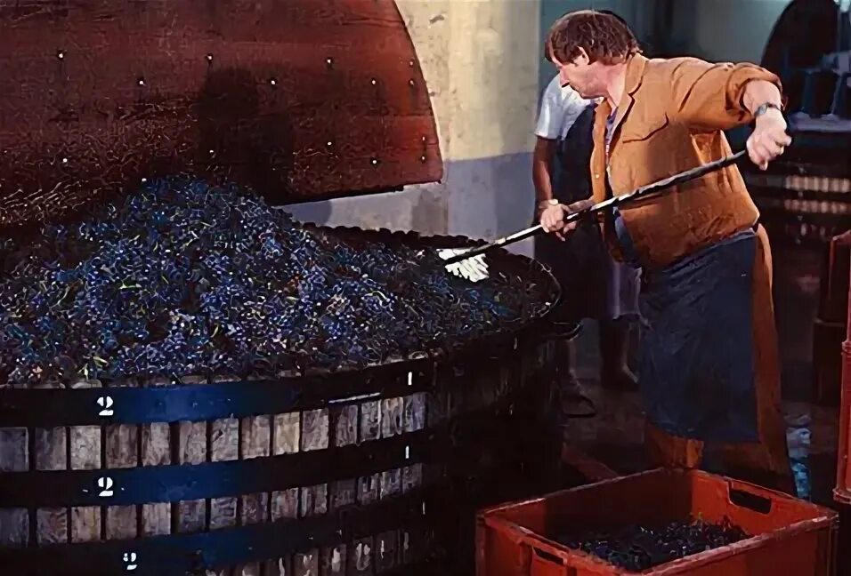 Смешивание виноматериалов при изготовлении. Обработчик виноматериалов и вина. вино сырье. виноматериал сухой. виноматериал из винограда что это.