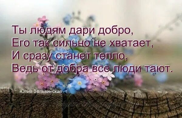 Дари тепло живи. Красивые цитаты про добро. Афоризмы о доброте души. Люди будьте добрее друг к другу цитаты. Красивые слова про добро.