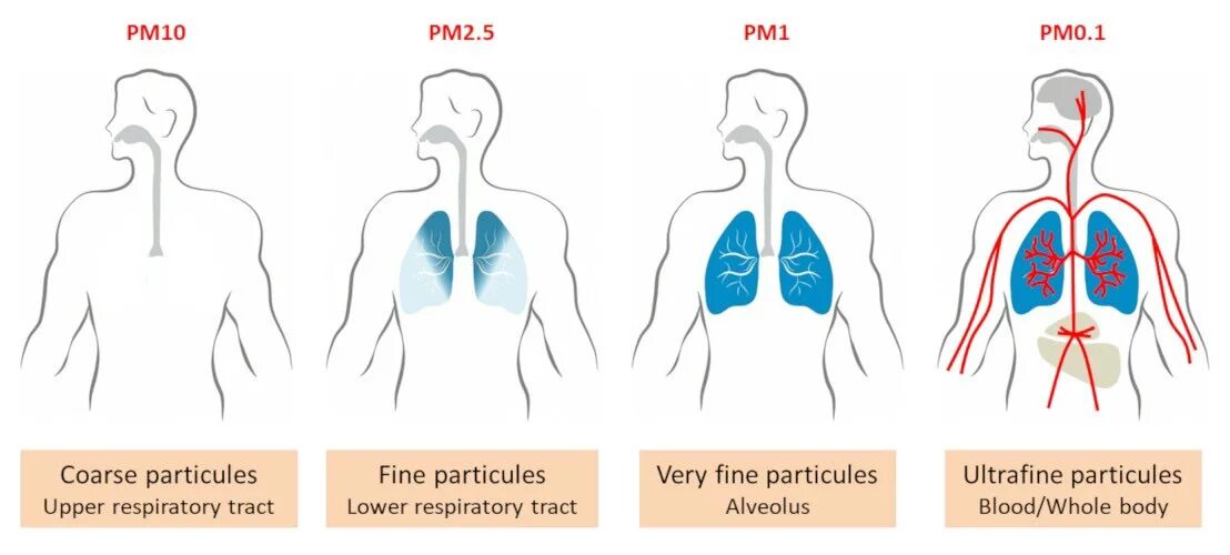 Размер частиц воздуха. Размер частиц pm10. Загрязнитель PM2.5 что это. 2pm. PM 10 загрязнение воздуха.
