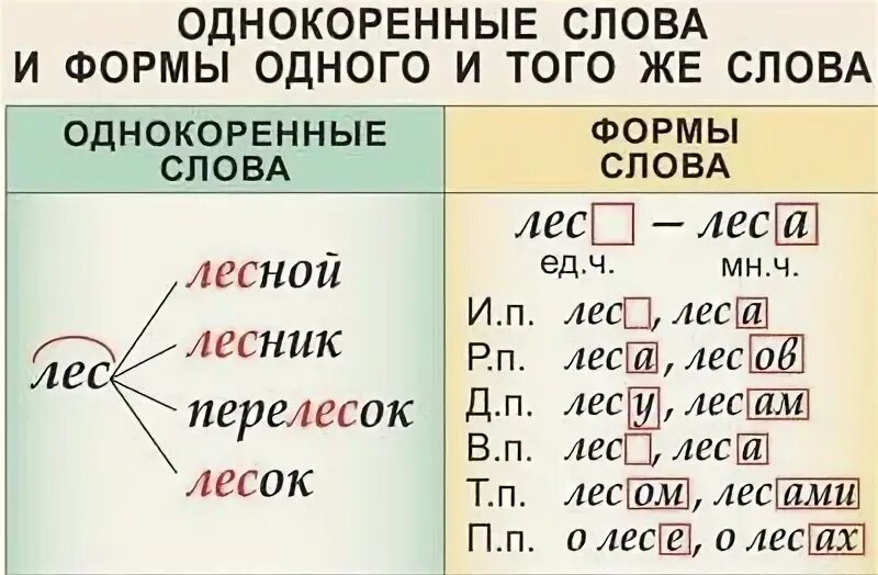 Формы слова ствол. Формы слова лес. Что такое форма слова в русском языке. Изменить форму слова. Формы одного слова.