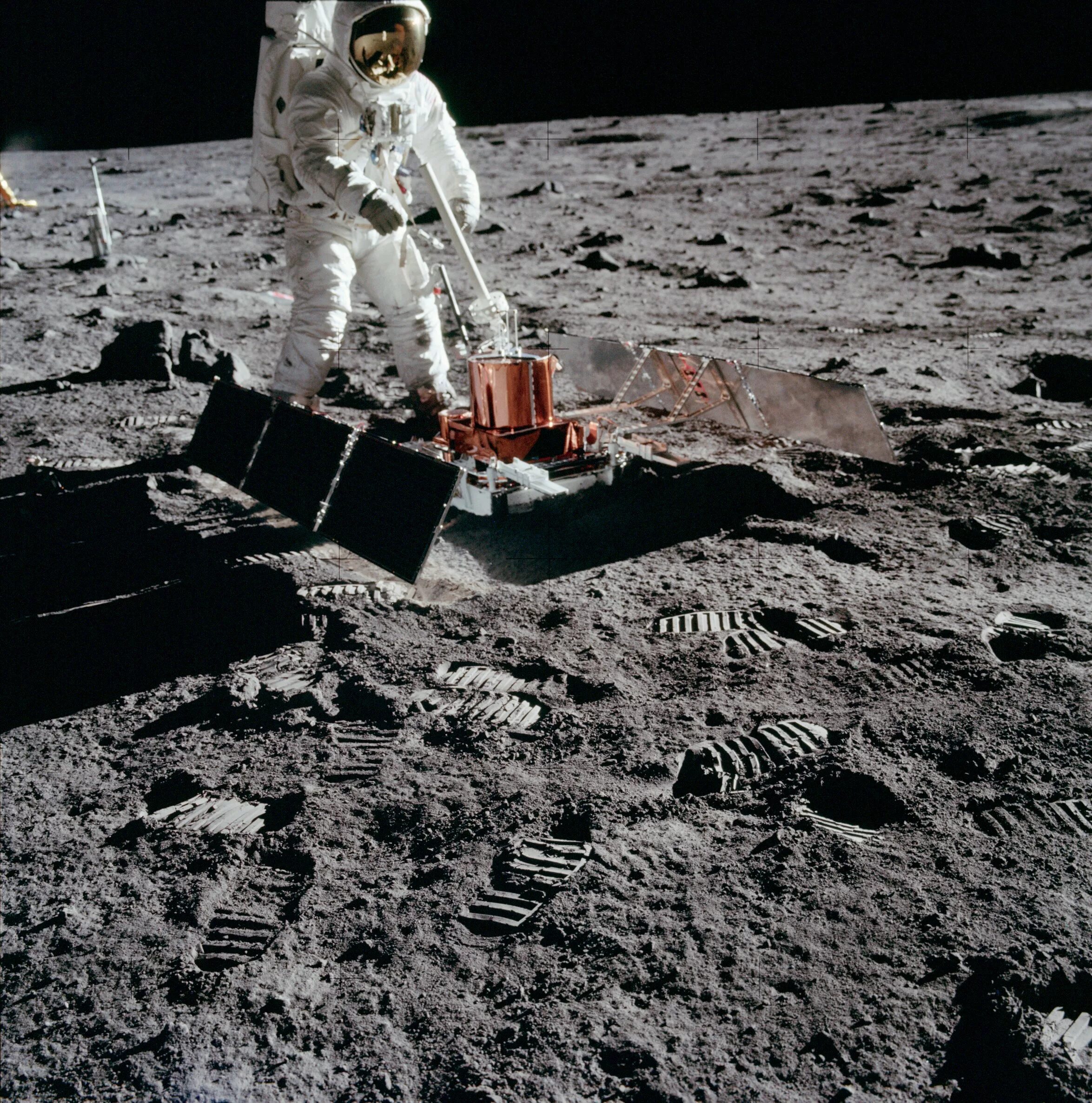 На луне есть деревья. Аполлон 11. Аполлон 11 Луноход. Базз Олдрин на Луне. Астронавты Аполлон 11.