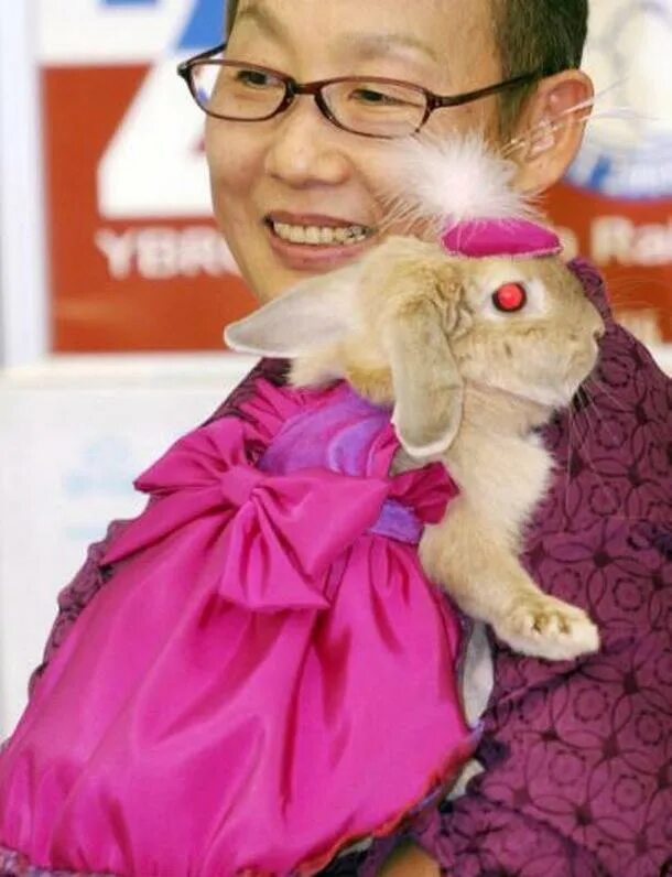 Кролику 12 лет. Необычные домашние животные Японии. Мода кролика. Кролик платьишки. Модные показы для кроликов.