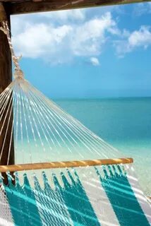 Beautiful life oceans
