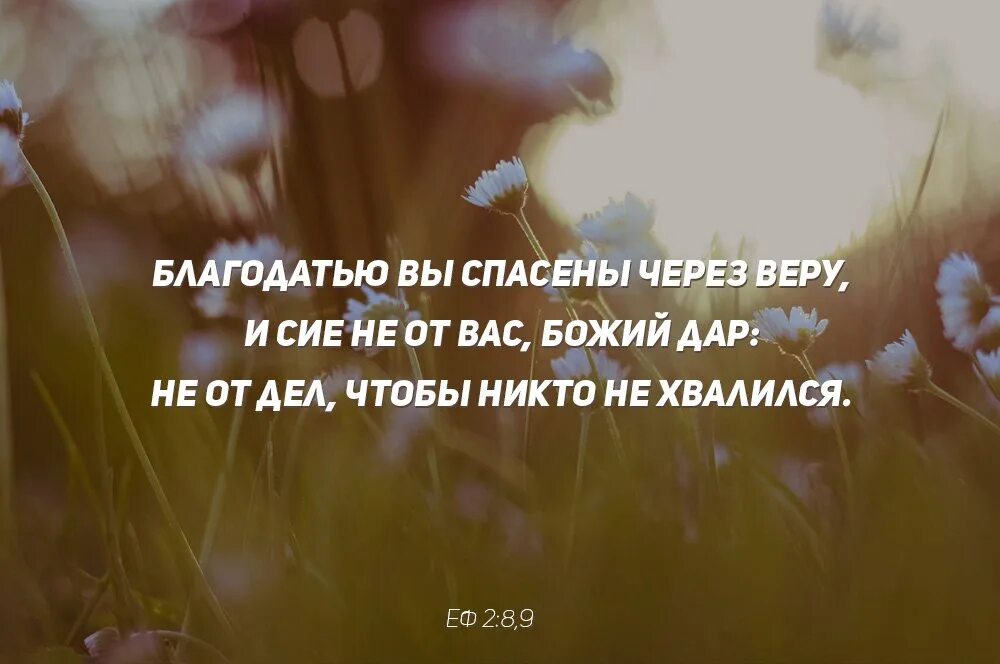 Жизнь после веры. Цитаты про Благодать. О благодати Божией. Божья Благодать цитаты. Христианские картинки о вере.