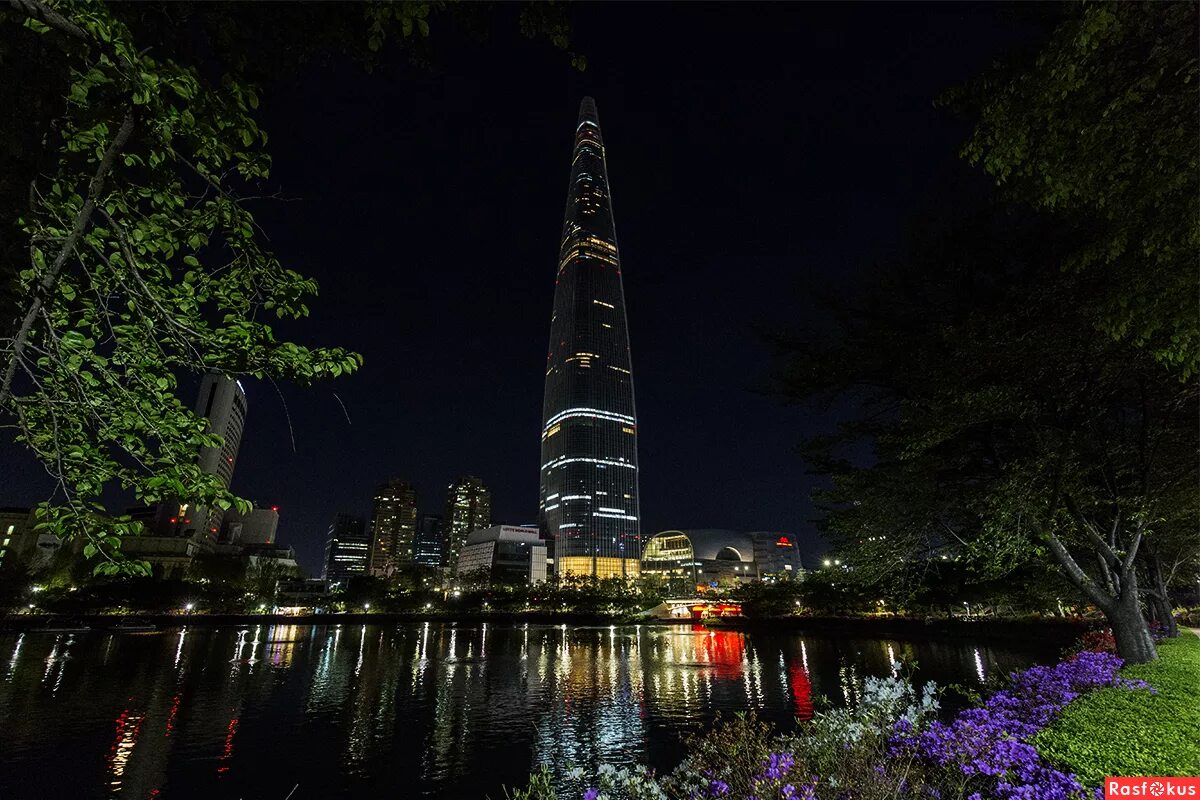 ростов сеул