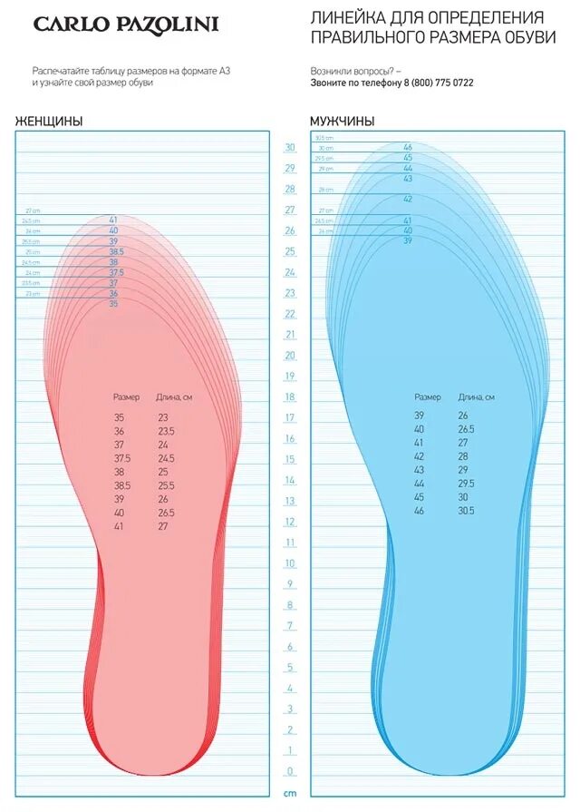 43 размер сколько сантиметров. 41,5 Размер стельки. Carlo Pazolini Размерная сетка женской обуви. Размер стельки 36 размер женский ботинки. 45 Размер стелька.