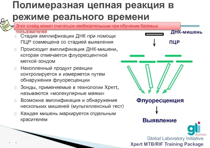 Полимеразная цепная реакция результат. PCR — полимеразная цепная реакция. ПЦР амплификация ДНК. Продукты реакции ПЦР. Этапы амплификации ПЦР.