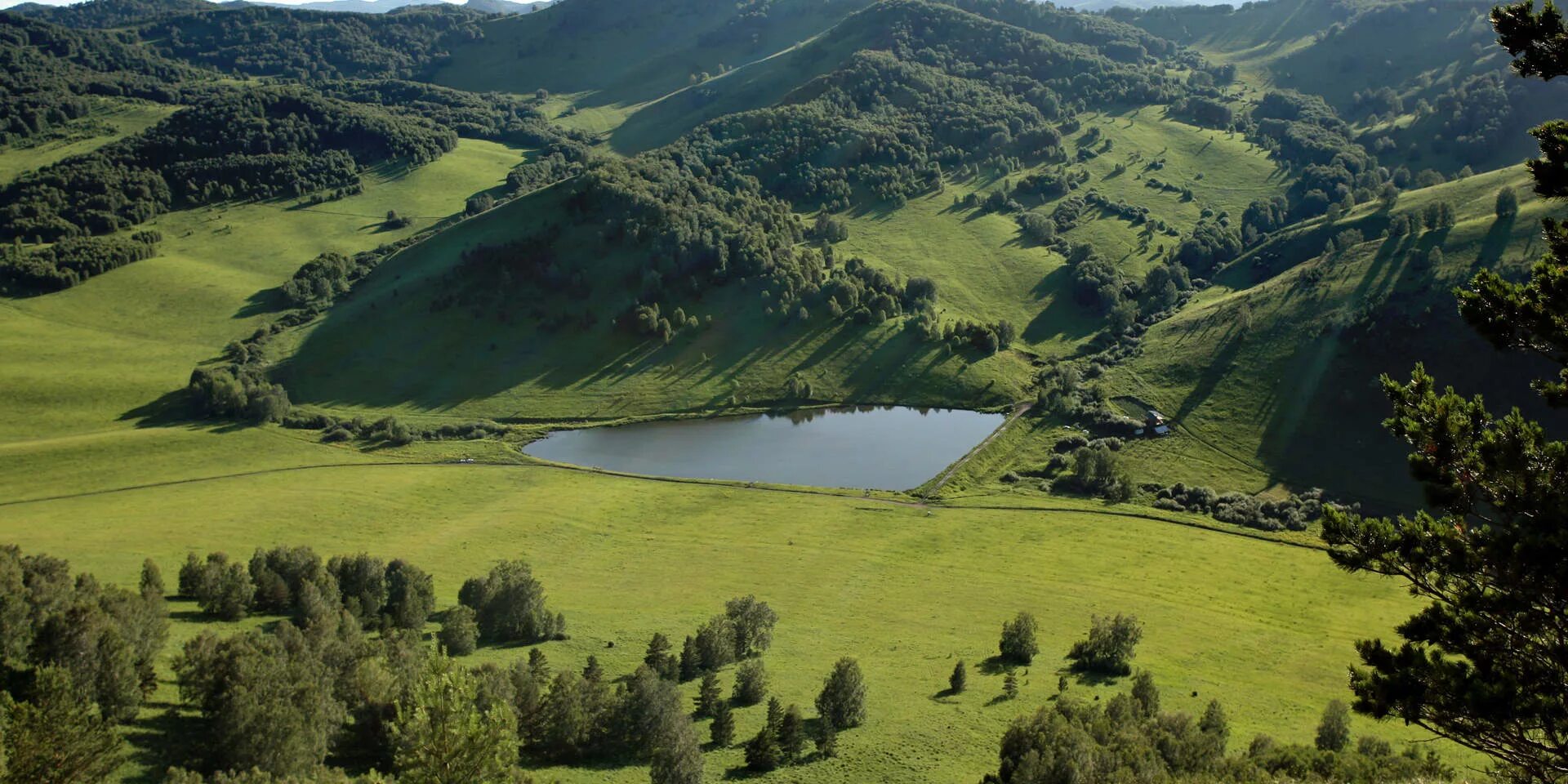 Равнины Алтайского края. Поверхность Алтайского края. Формы земной поверхности Алтайского края. Равнинный Алтай.