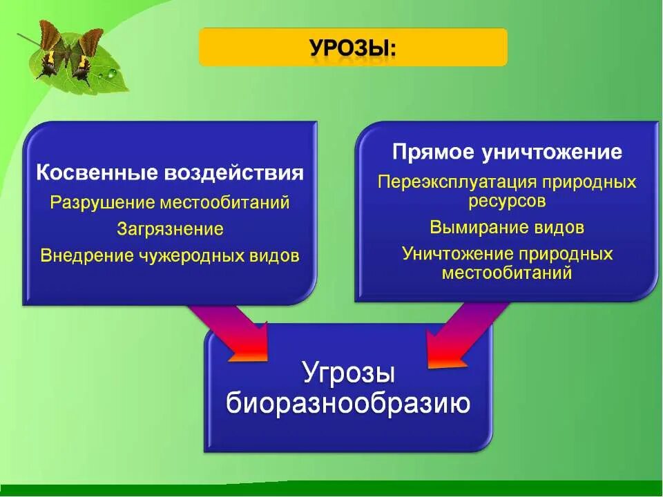 Пути сохранения биологического разнообразия 5 класс. Проблемы биоразнообразия. проблема сохранения биоразнообразия. сохранение биоразнообразия насущная задача человечества. сокращение видового биоразнообразия пути решения.