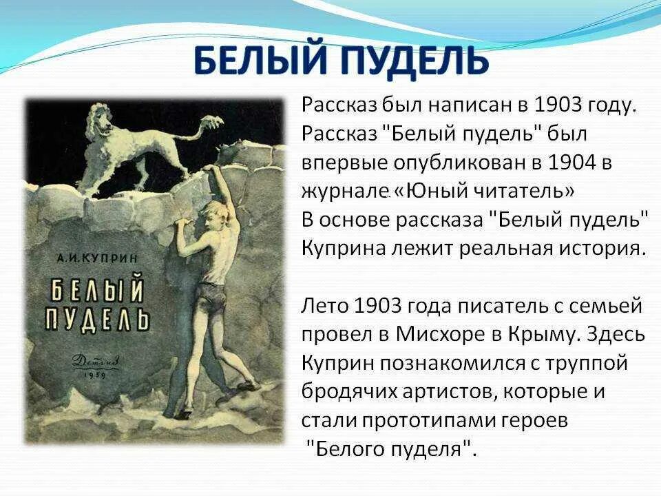 Краткий пересказ рассказа всем выйти из кадра. Краткий пересказ белый пудель Куприн. Белый пудель 1 глава. Куприн белый пудель краткий рассказ.