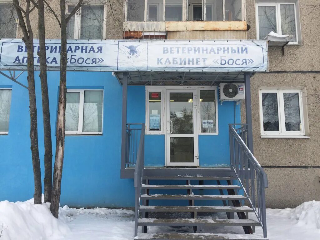 ветеринар дзержинск. ветеринар дзержинск. ветеринар фотосессия на синем фоне. ветеринар дзержинск. ветеринарная клиника на терешковой дзержинск.