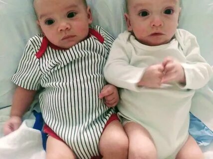 У молодой семейной пары родилась двойня