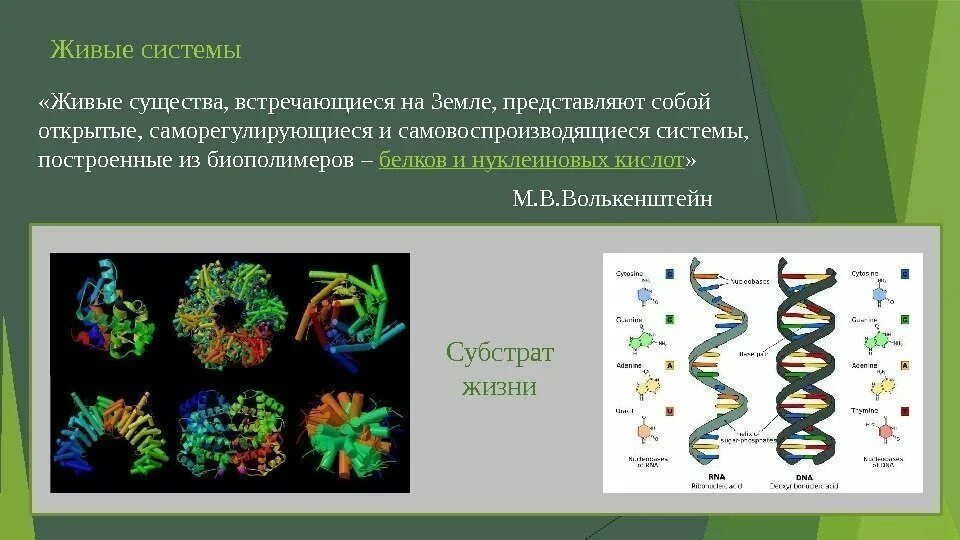 Сущность и субстрат жизни. Определение понятия и субстрат жизни. Субстрат это в биологии. Субстрат жизни это в биологии. Система биополимеров