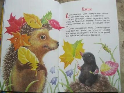 Сказка в гостях у звезд читать