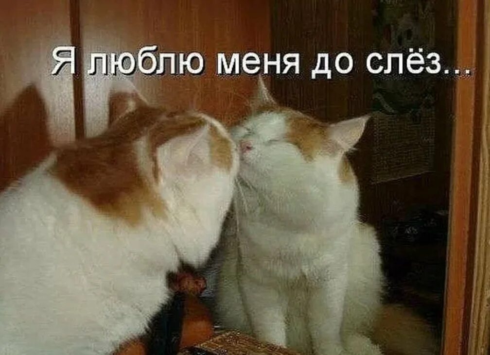 Что было то было сама полюбила