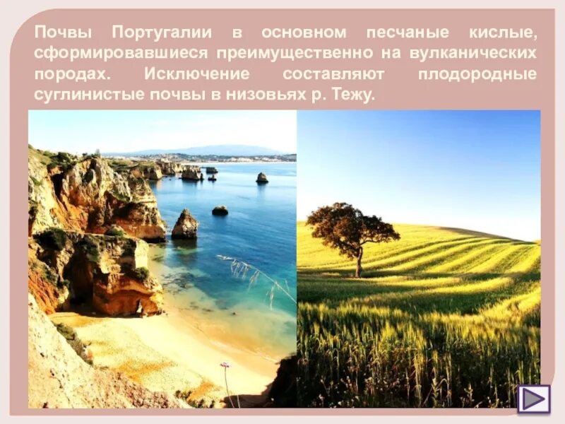 Сообщение о португалии