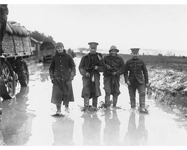 Фотографии первой мировой. Поля фландрии первая мировая. Окопные болезни первой мировой. Канада 1914. Поля фландрии первая мировая.