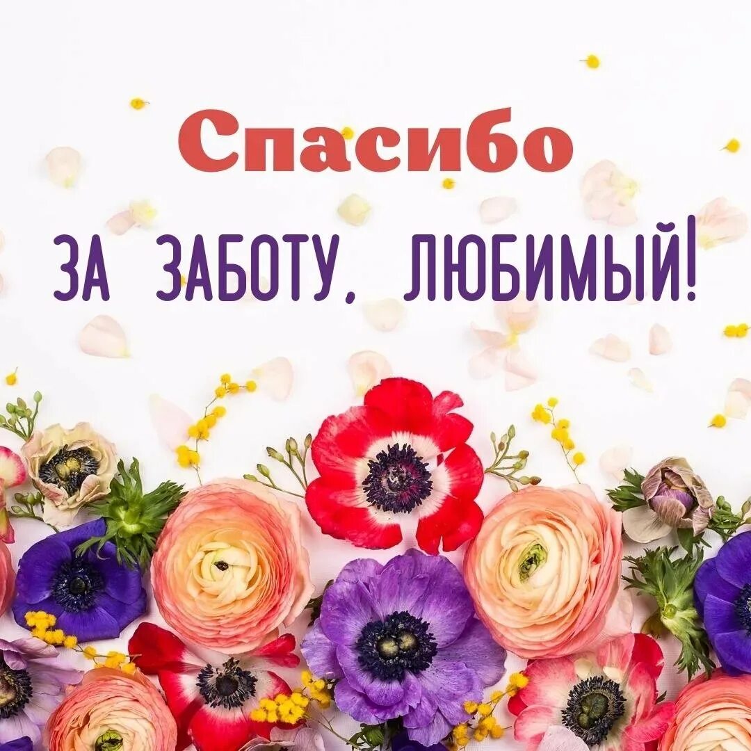 Надписи пожелания. Спасибо за ласку и заботу. Надпись на ручке в подарок. Спасибо за ласку и заботу. Спасибо за ласку и заботу.